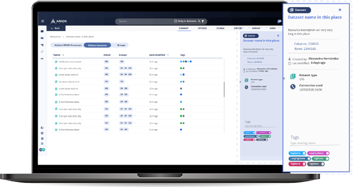 Screenshot de un módulo de Arkon Data Platform que muestra el uso de metadatos