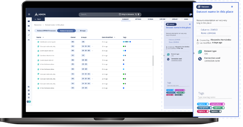 Screenshot of one Arkon Data Platform feature where there is metadata